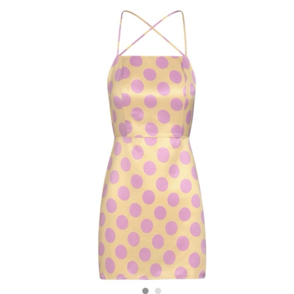 NWT Inamorata Varick Dress